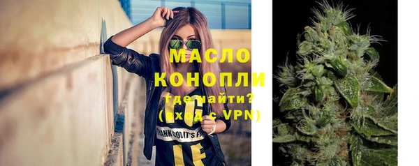 шишки Арсеньев