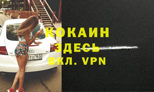 сатива Аркадак