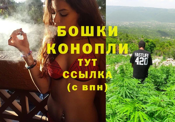 сатива Аркадак