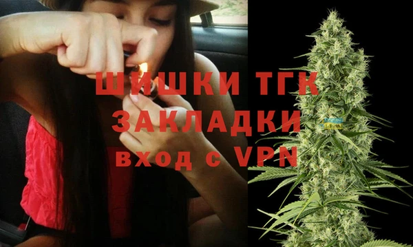 шишки Арсеньев