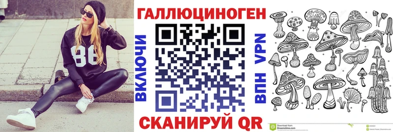 Галлюциногенные грибы Psilocybe  Новороссийск 